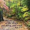 Autumn Path with Scripture