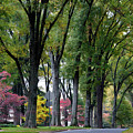 Queens Road West in the Fall