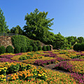The Quilt Garden
